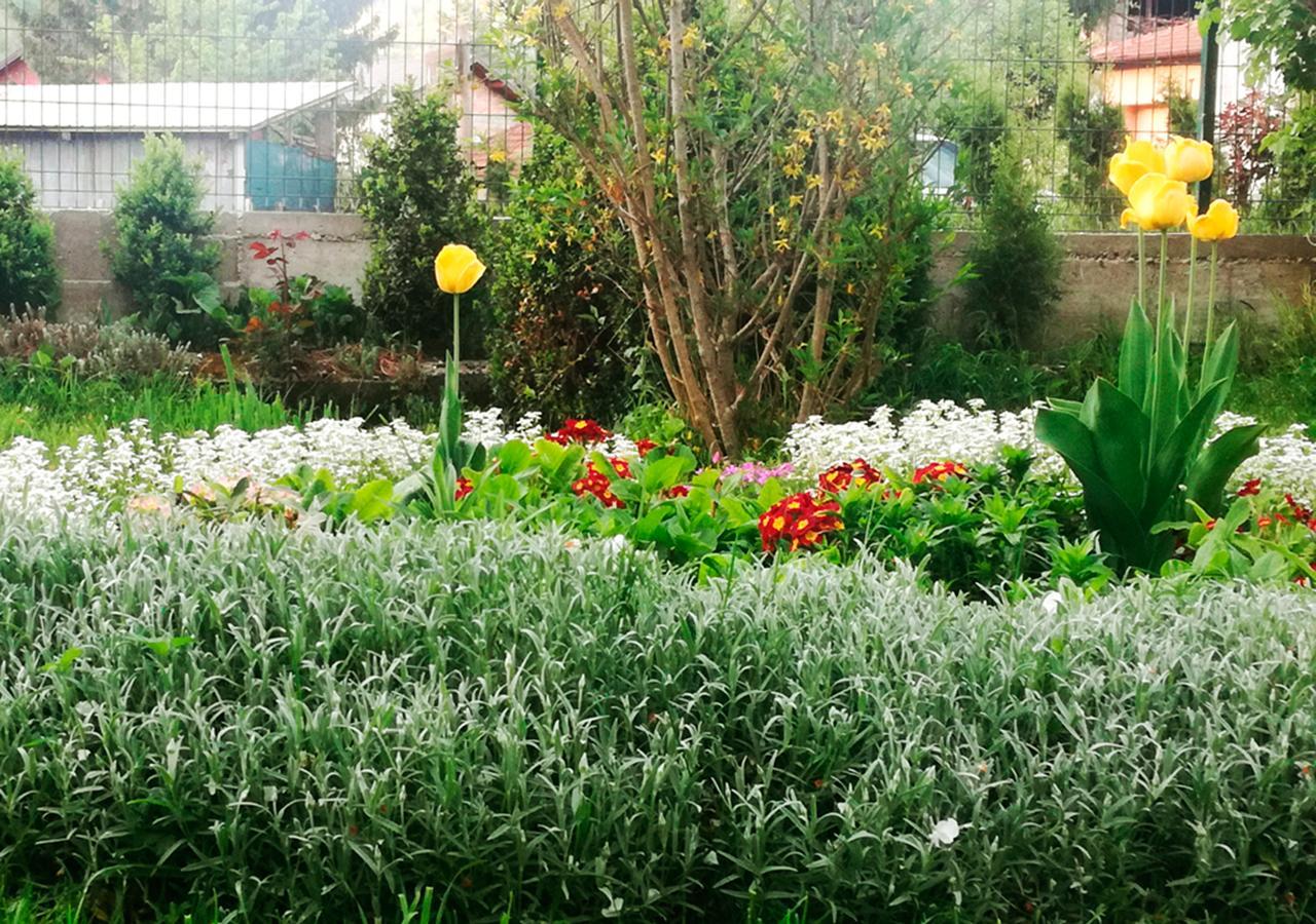 Apartman Amelaa Kulen Vakuf Buitenkant foto